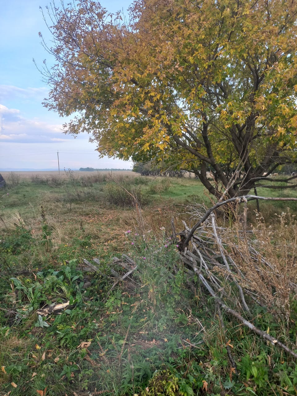 Земельный участок, площадь 2500 кв.м., адрес (местонахождение): Россия, обл Челябинская, р-н Верхнеуральский, п Казанцевский, ул Степная, дом уч.10, кадастровый (условный) номер: 74:06:1701006:275