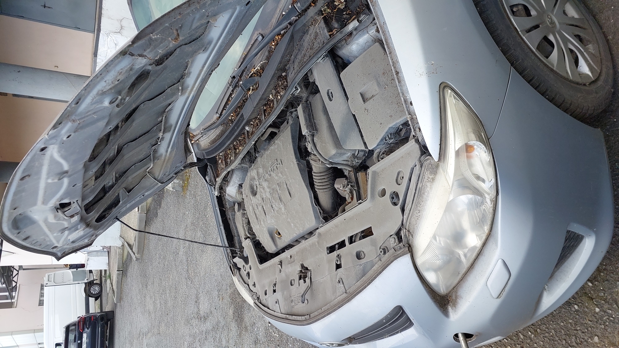 Легковой автомобиль ТОЙОТА-КОРОЛЛА (TOYOTA COROLLA): Марка, модель (ТС): ТОЙОТА-КОРОЛЛА (TOYOTA COROLLA), VIN: JTNBV58E502001085, наименование (тип ТС): ЛЕГКОВОЙ, категория ТС: В, год изготовления ТС: 2006 г., модель, № двигателя: IZR 0010075, шасси №: отсутствует, кузов №: JTNBV58E502001085, цвет кузова (кабины, прицепа): СВЕТЛО-ГОЛУБОЙ, мощность двигателя, кВт / л.с.: 124 л.с. / 91 кВт, тип двигателя: БЕНЗИНОВЫЙ, экологический класс: ЧЕТВЕРТЫЙ, разрешенная максимальная масса, кг: 1 760, масса без нагрузки, кг: 1 225, государственный регистрационный знак: Н 931 НК 48