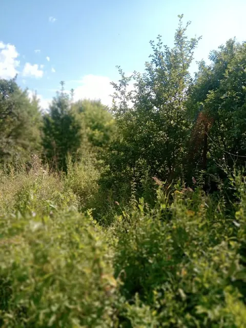 1/2 доли в праве на жилое здание общей площадью 19,3 кв.м., местоположение: Ивановская область, р-н. Заволжский, д. Порозово, ул. Подугорица, д. 20, кадастровый номер 37:04:030801:279 и расположенные под ним 1/2 доли в праве на земельный участок для ведения личного подсобного хозяйства общей площадью 739 +/- 3 кв.м. (7,39 сотоки), местоположение: обл. Ивановская, р-н Заволжский, д. Порозово, ул. Подугорица, д. 20, кадастровый номер 37:04:030801:30