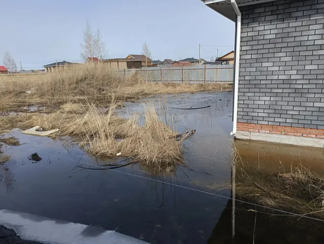 Недвижимое имущество