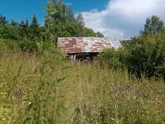 1/2 доли в праве на жилое здание общей площадью 19,3 кв.м., местоположение: Ивановская область, р-н. Заволжский, д. Порозово, ул. Подугорица, д. 20, кадастровый номер 37:04:030801:279 и расположенные под ним 1/2 доли в праве на земельный участок для ведения личного подсобного хозяйства общей площадью 739 +/- 3 кв.м. (7,39 сотоки), местоположение: обл. Ивановская, р-н Заволжский, д. Порозово, ул. Подугорица, д. 20, кадастровый номер 37:04:030801:30