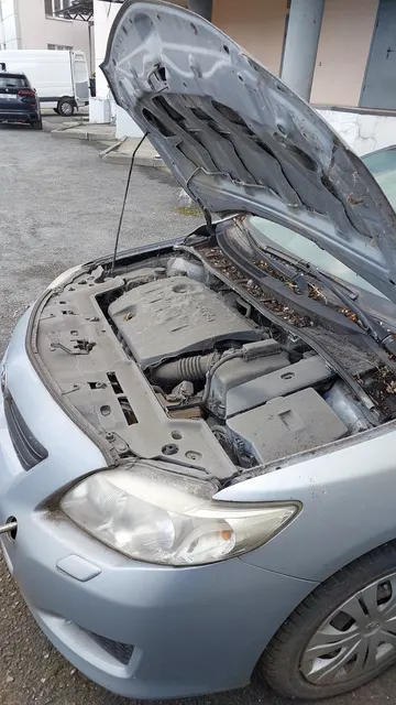 Легковой автомобиль ТОЙОТА-КОРОЛЛА (TOYOTA COROLLA): Марка, модель (ТС): ТОЙОТА-КОРОЛЛА (TOYOTA COROLLA), VIN: JTNBV58E502001085, наименование (тип ТС): ЛЕГКОВОЙ, категория ТС: В, год изготовления ТС: 2006 г., модель, № двигателя: IZR 0010075, шасси №: отсутствует, кузов №: JTNBV58E502001085, цвет кузова (кабины, прицепа): СВЕТЛО-ГОЛУБОЙ, мощность двигателя, кВт / л.с.: 124 л.с. / 91 кВт, тип двигателя: БЕНЗИНОВЫЙ, экологический класс: ЧЕТВЕРТЫЙ, разрешенная максимальная масса, кг: 1 760, масса без нагрузки, кг: 1 225, государственный регистрационный знак: Н 931 НК 48