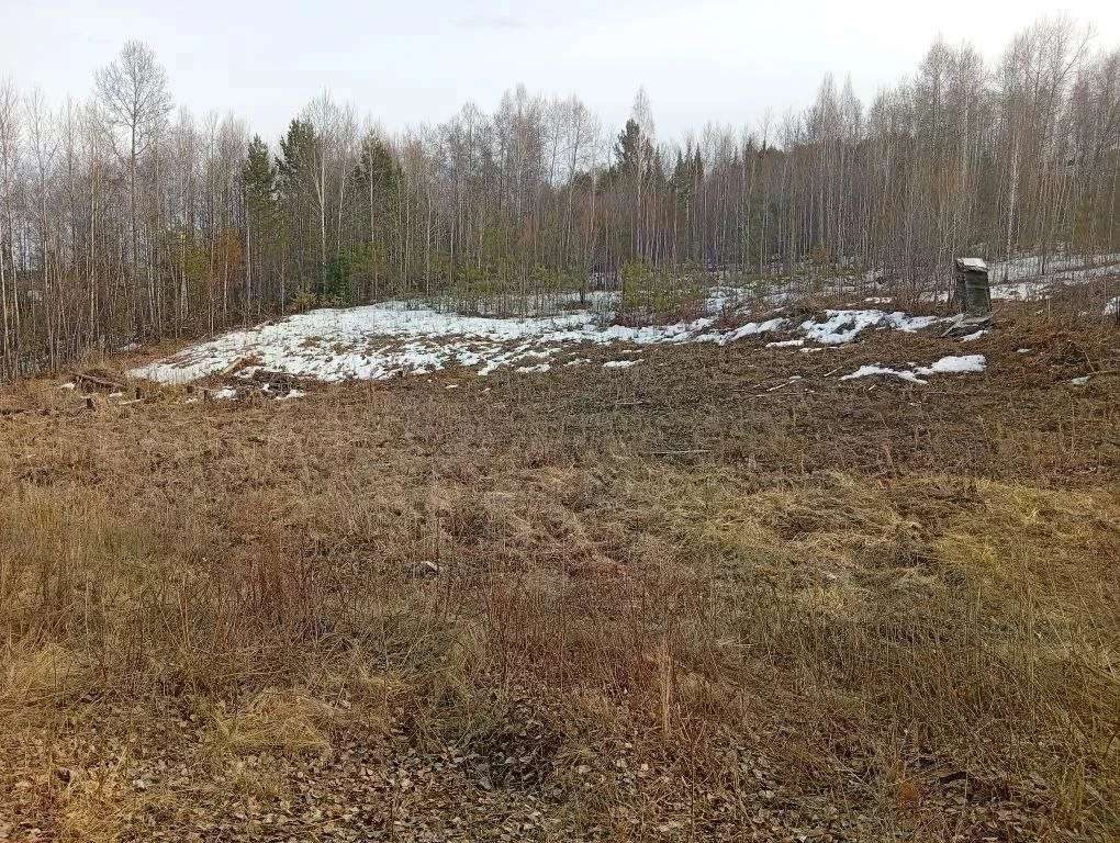 земельный участок, площадью 1 942 кв.м., расположенная по адресу: АНГАРСКИЙ ГОРОДСКОЙ ОКРУГ, Ангарский городской округ, автодорога "Подъезд к с. Савватеевка" СНТ "Русские березы-1", улица Овражная, земельный участок 511. Кадастровый номер: 38:26:033302:686.