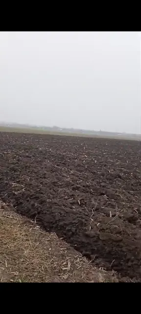 Земельный участок, кадастровый номер: 23:35:0304004:399, площадь 2000, местоположение установлено относительно ориентира, расположенного в границах участка. Почтовый адрес ориентира: Краснодарский край, Усть-Лабинский район, ст-ца Воронежская.