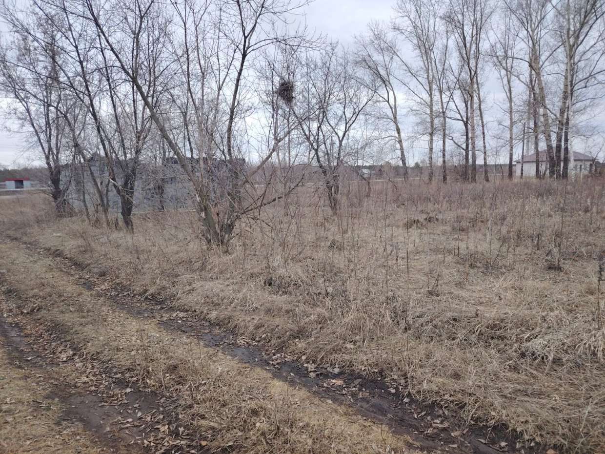 земельный участок, площадью 1 480 кв.м., расположенный по адресу: Алтайский край, Новозоринский, Садоводческое товарищество "Силикатчик", д.2. Кадастровый номер земельного участка: 22:31:030502:386.