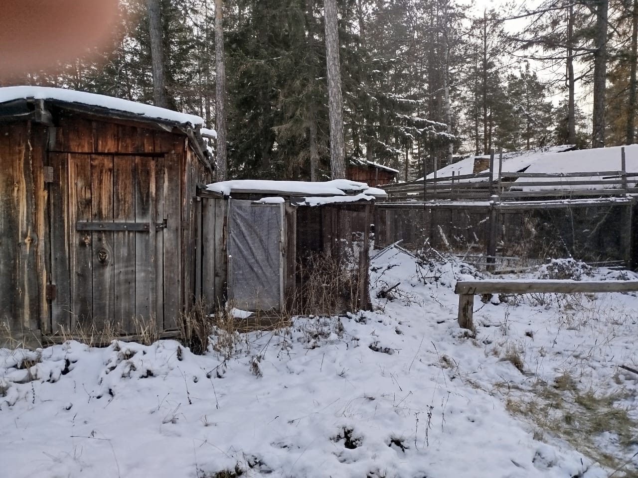 Земельный участок · Кадастровый номер: 88:03:0010143:79 · Назначение: данные отсутствуют · Разрешенное использование: птицеводство · Местоположение: Красноярский край, Эвенкийский район, с. Ванавара, ул. Красноярская, д. 23Б (ориентир). · Площадь: 112 +/- 4 кв.м. Здание · Кадастровый номер: 88:03:0010143:81 · Назначение: Нежилое · Местоположение: Красноярский край, Эвенкийский район, с. Ванавара, ул. Красноярская, 23 Б · Площадь: 8 кв.м.
