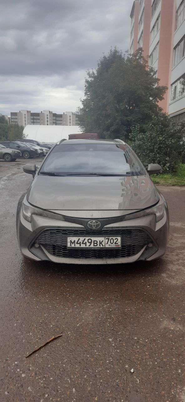 Марка, модель ТС: Toyota Corolla, 2019 года выпуска, кузов № отсутствует, идентификационный номер (VIN): SB1ZA3BE20E008431, шасси (рама) № отсутствует - является предметом залога ПАО СКБ Приморья "Примсоцбанк".