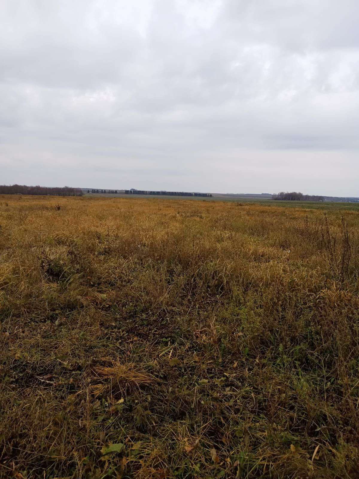 Земельный участок в Чувашской Республике