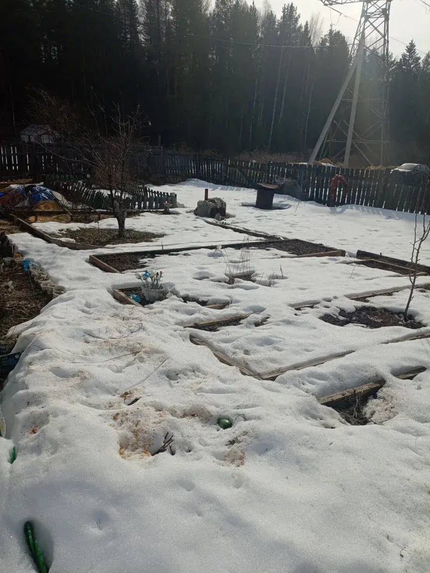 земельный участок (сад) в СНТ Сад Кедр
