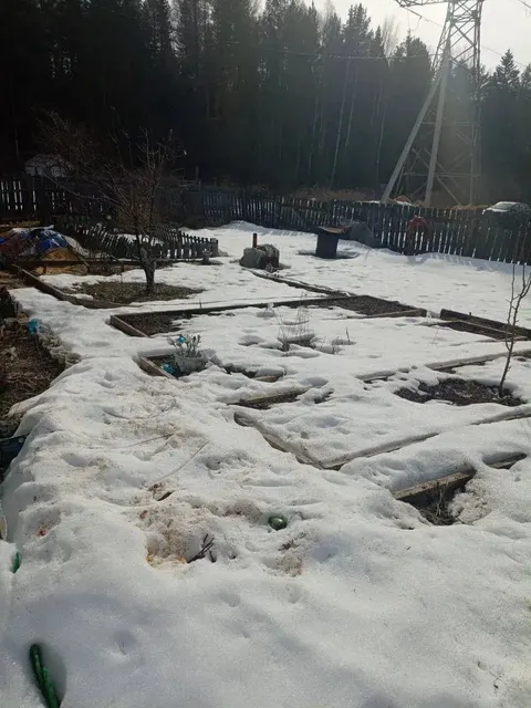 земельный участок (сад) в СНТ Сад Кедр