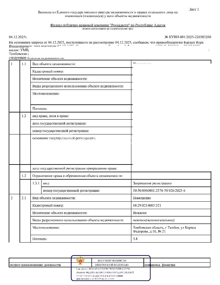помещение Борзых В.В.