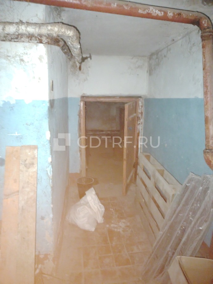 Доля в нежилом помещении Смирнов С.Г.