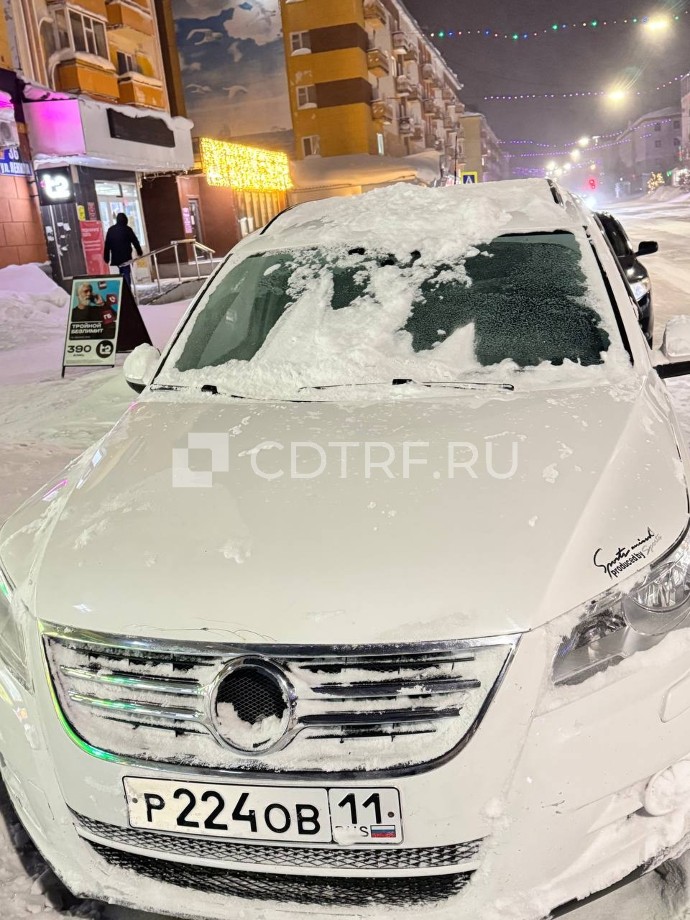 Реализация залогового имущества Волковой М.В. А29-12535/2025 Лот №1 (автомобиль)