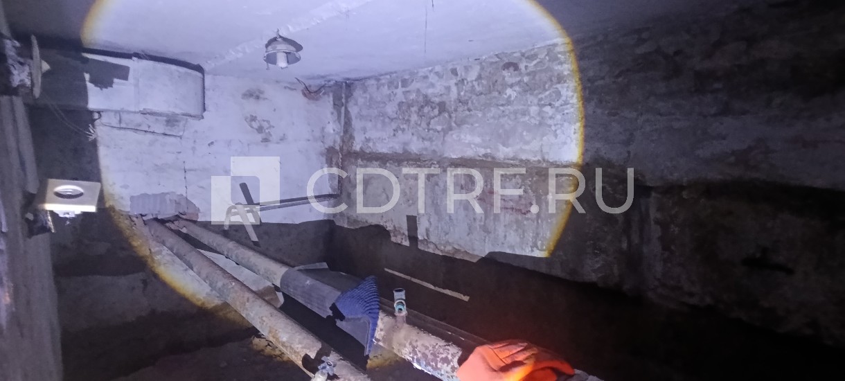 Помещение, кадастровый (или условный) номер 18:09:000000:3983, адрес: Удмуртская...