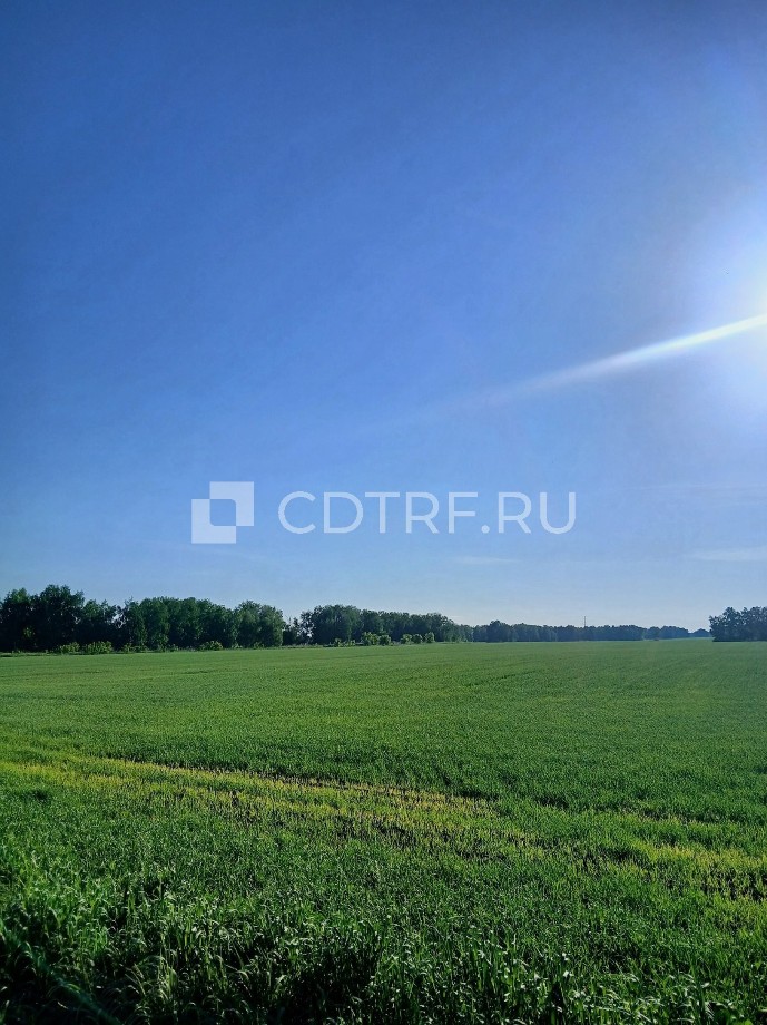 Торги по продаже имущества Должника: Касторновой Светланы Юрьевны