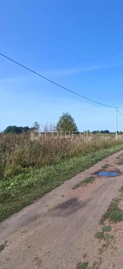 Краус О.Е. Земельный участок, площадь 1281+/-13 кв.м., Гафурийский р-н, деревня Дмитриевка