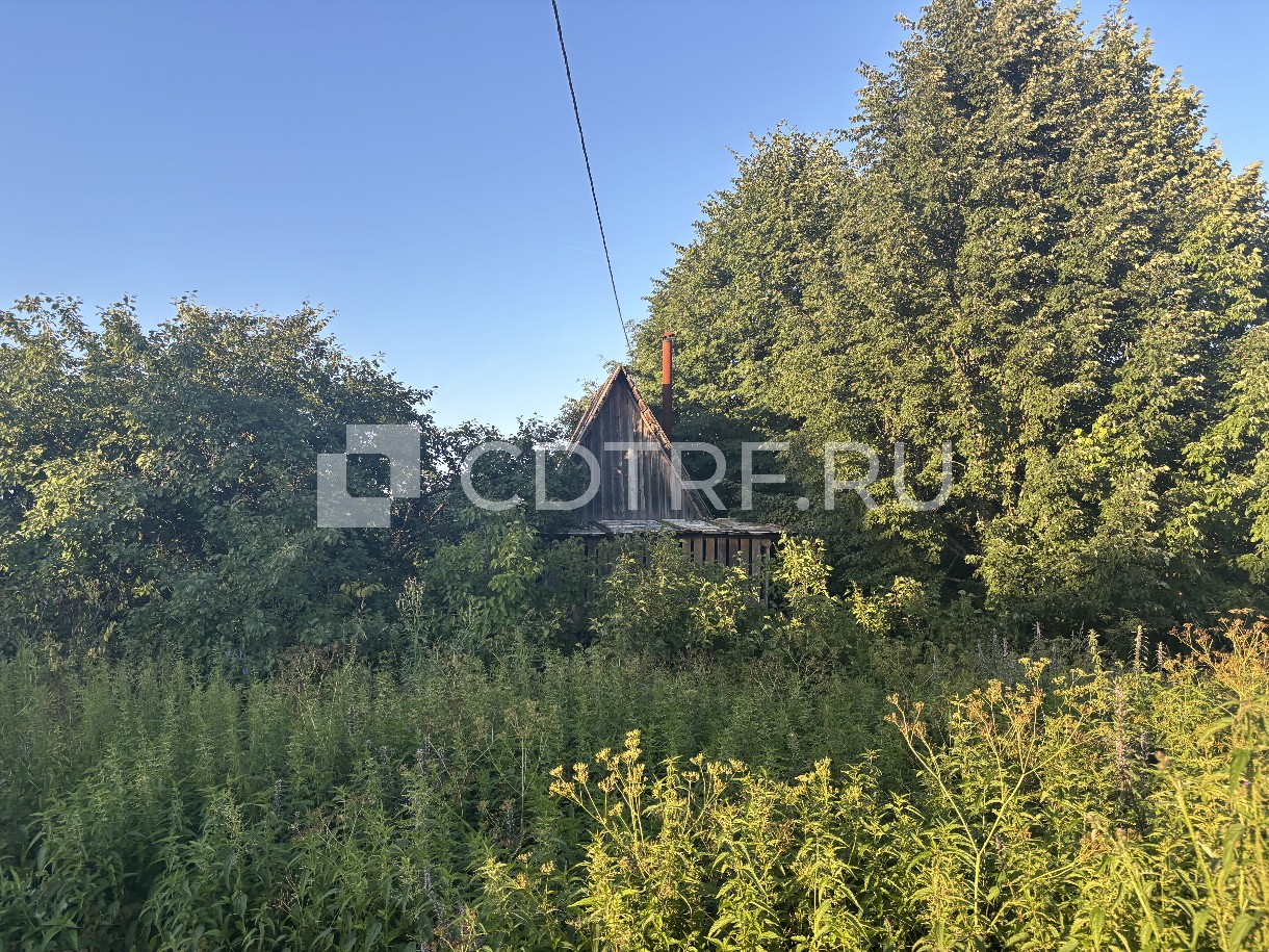 Торги по продаже залогового имущества (земельный участок) Усачева В.В.