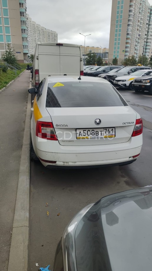 Автомобиль SKODA OCTAVIA, VIN: XW8AN2NE8LH017757, ГРЗ А508BT 761, 2019 года выпуска