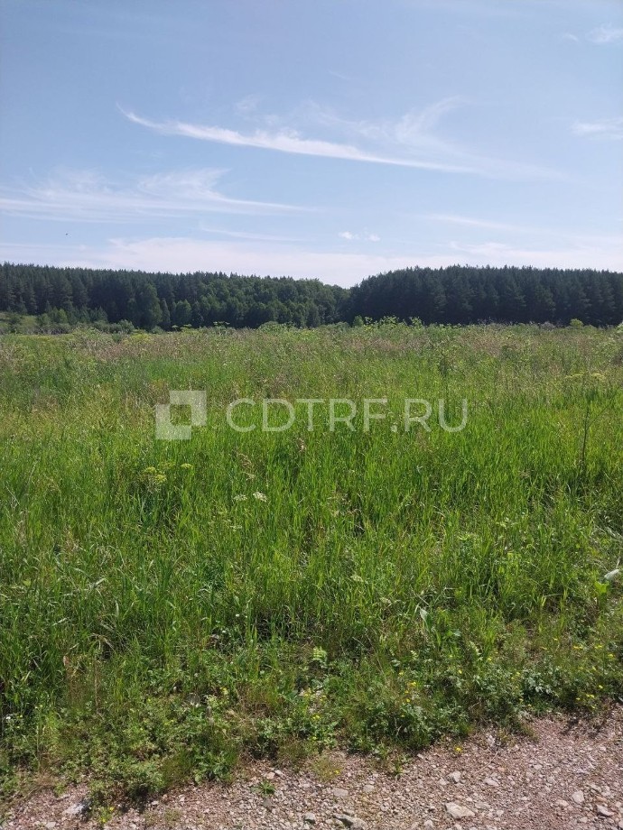 Торги по земельному участку площадью 2500 кв.м., к/н: 74:09:0805001:182, лот №2. Лот №2