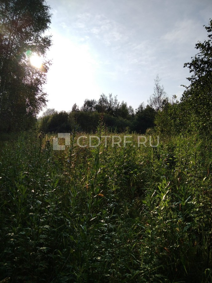 Воронова Е.К. З/участок, пл. 1000 (одна тысяча) кв.м., кадастровый номер 33:11:080208:126