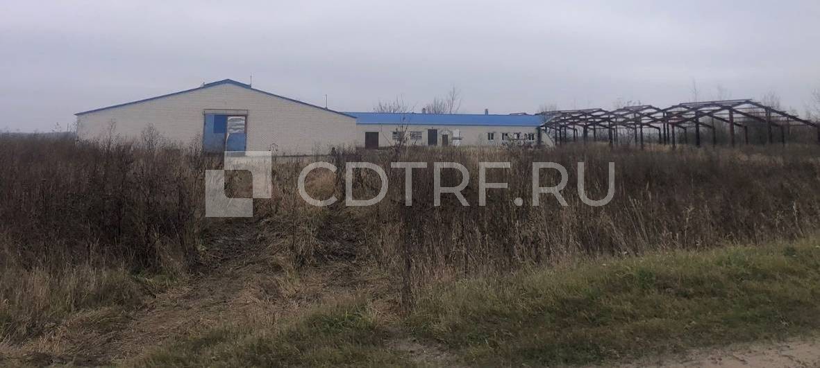 Здание - коровник №1 на 200 голов КРС с доильным залом, 1381,8 кв.м., Брянская обл. Лот №6