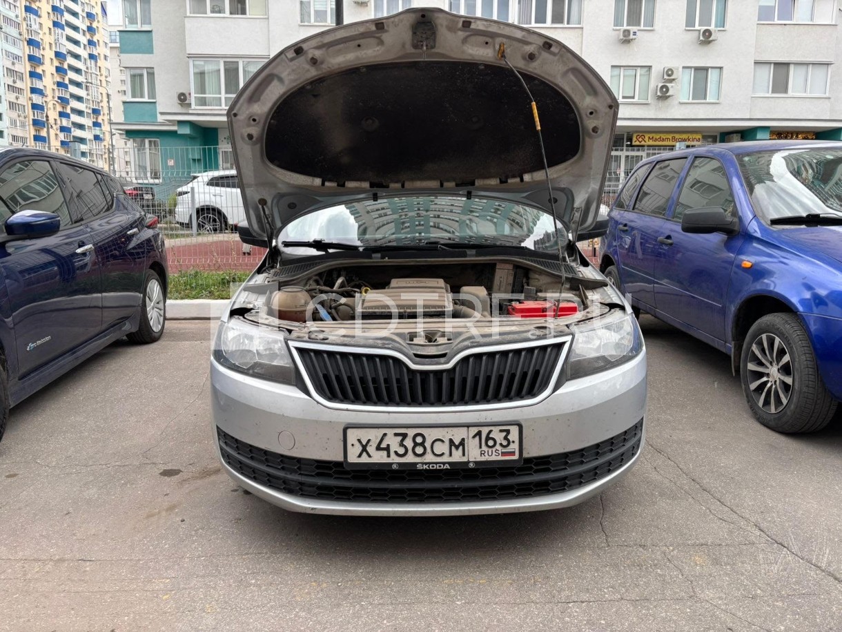 Тюмикова Светлана Викторовна Автомобиль SKODA RAPID, 2017 г. в. Лот №1
