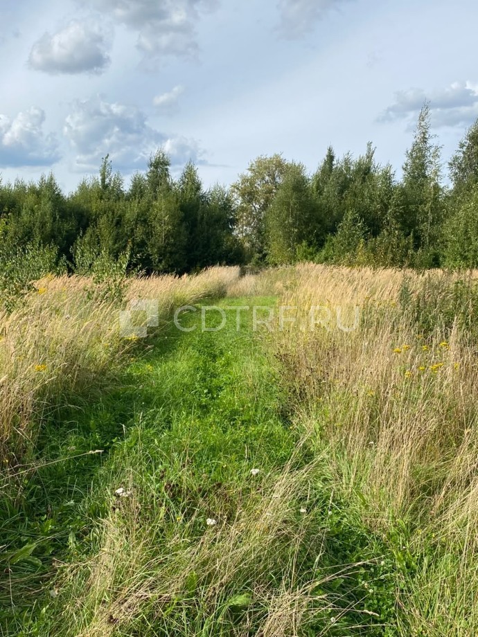 Котов Р.В. зу КН 50:37:0050111:441