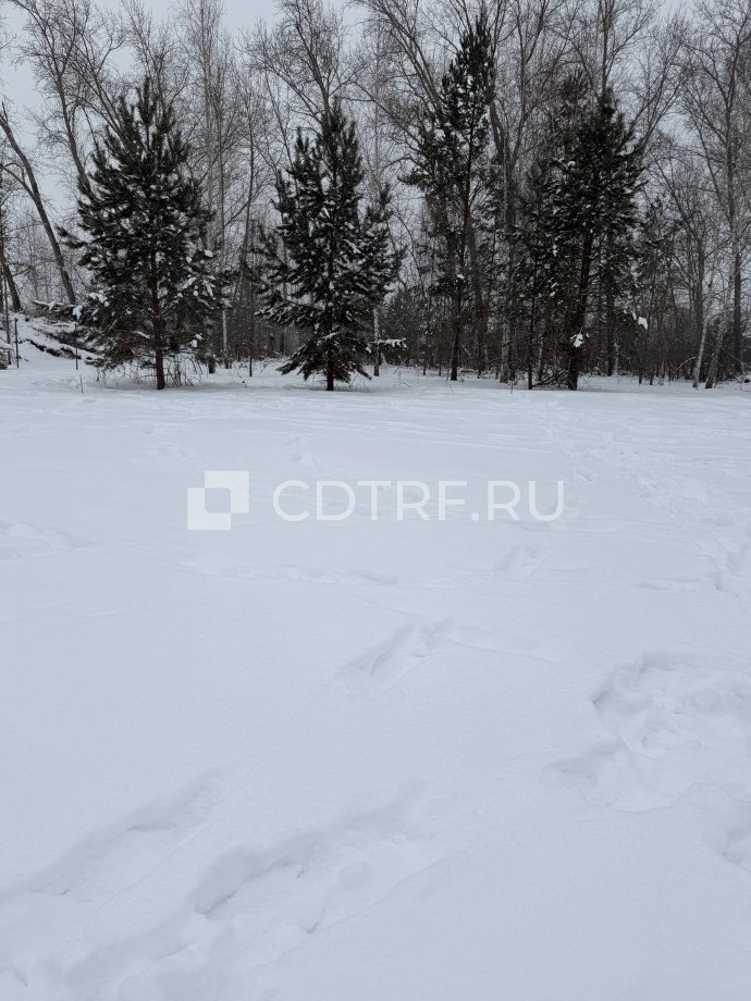 земельный участок, площадью 390 кв.м., с кадастровым номером: 74:19:0801001:636....