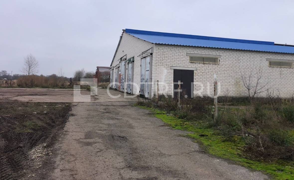 Здание - коровник №1 на 200 голов КРС с доильным залом, 1381,8 кв.м., Брянская обл. Лот №6