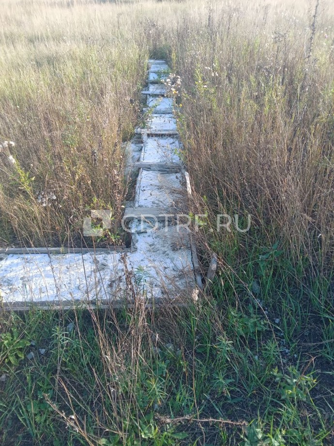 Карапетян Д.А. Земельный участок, (село Черноречье, кадастровый номер: 63:17:0803008:3666)