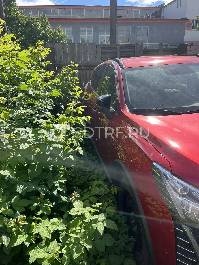 : HAVAL JOLION