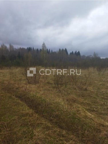 Горбунов Е.В. публичное предложение