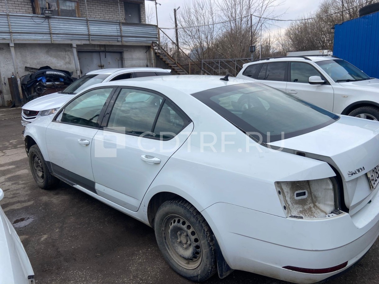 SKODA OCTAVIA, 2018 г.в., VIN XW8AN2NE6KH008781