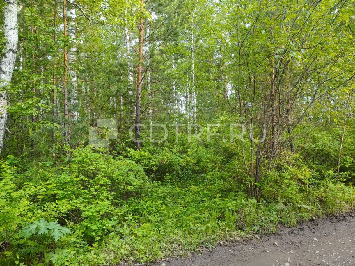 Земельный участок, площадь 1179 +/- 12 кв.м., размер доли: 1/5 Лот №1
