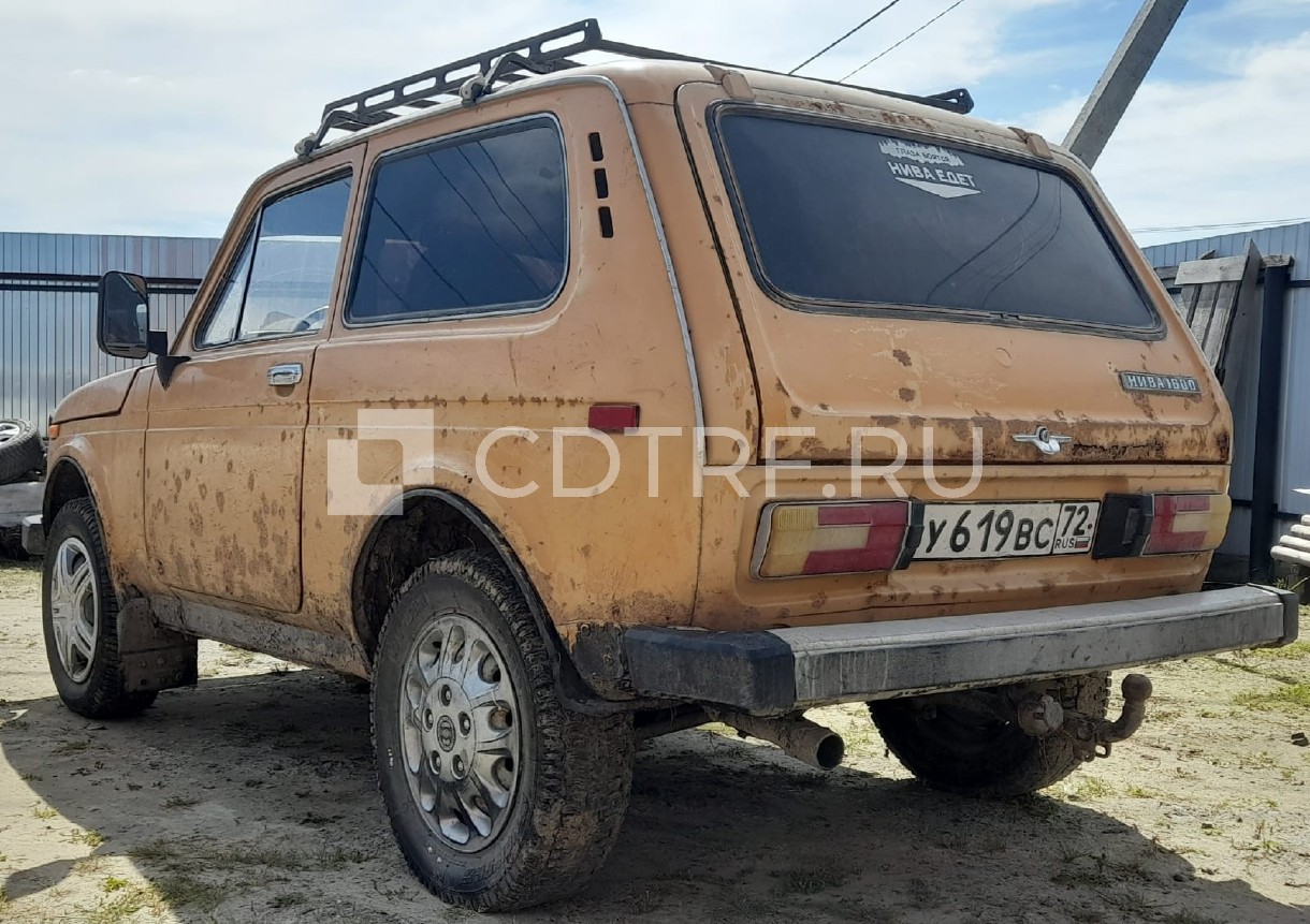 Автомобиль ВАЗ 2121, 1985 года выпуска, VIN: XTA212100F0410836, цвет: желтый.