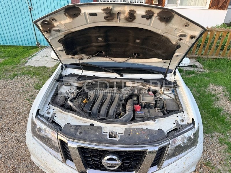 Дмитриева А.В. Легковой автомобиль, НИССАН ТЕРРАНО, VIN: Z8NHSNHGD60115461, 2018 г.в.