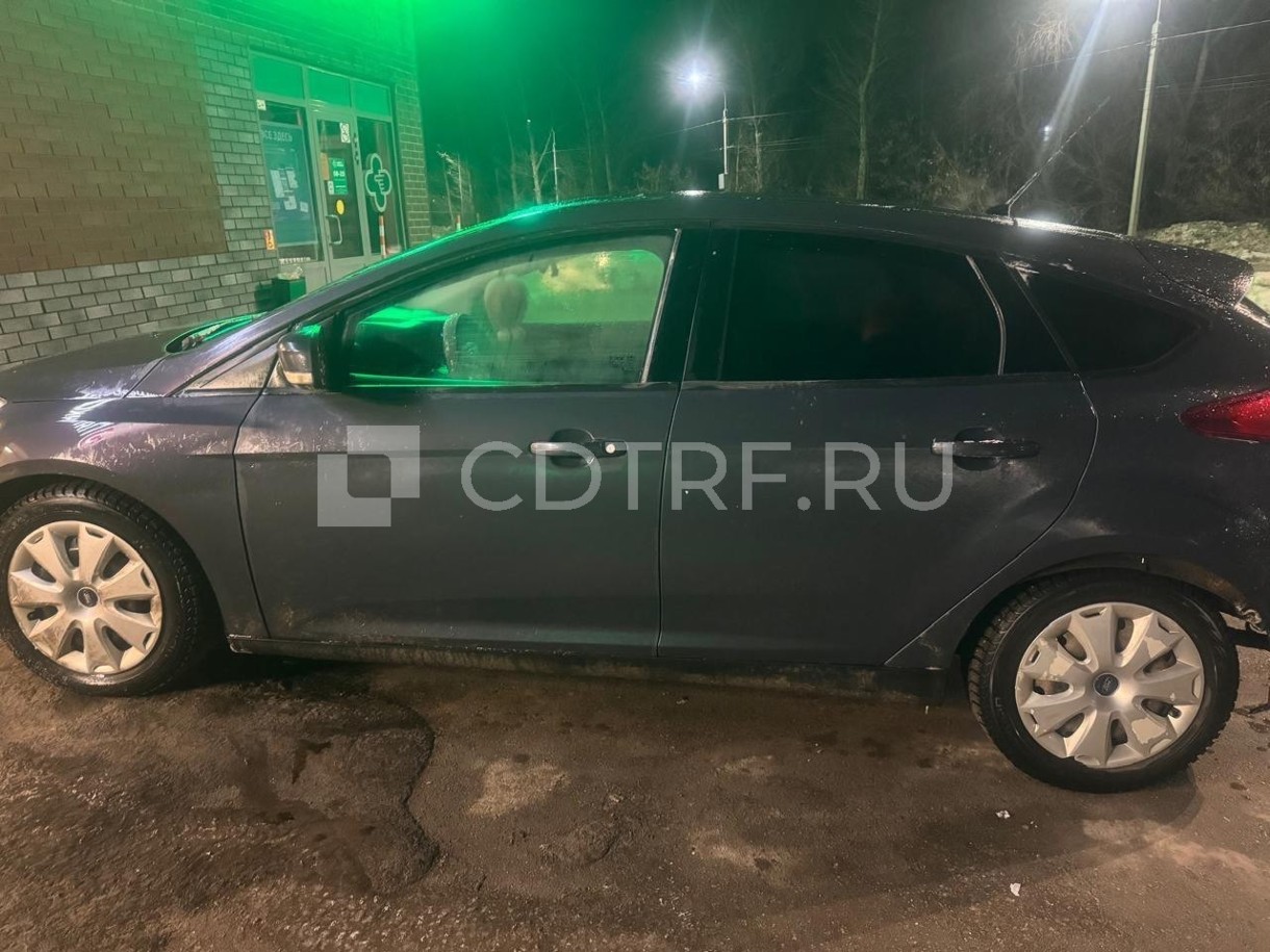 Кукарева К.С. Ford Focus, 2011 г.в. Лот №1