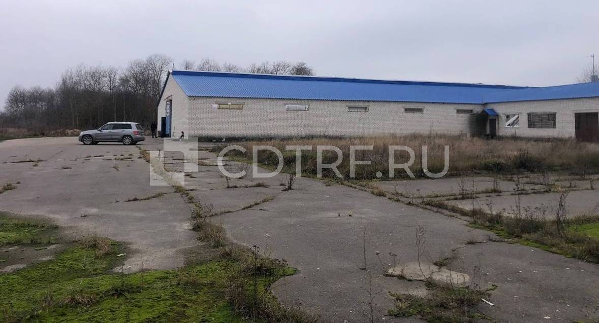 Здание - коровник №1 на 200 голов КРС с доильным залом, 1381,8 кв.м., Брянская обл. Лот №6