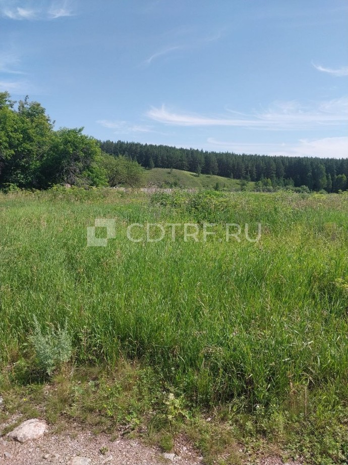 Торги по земельному участку площадью 2500 кв.м., к/н: 74:09:0805001:182, лот №2. Лот №2