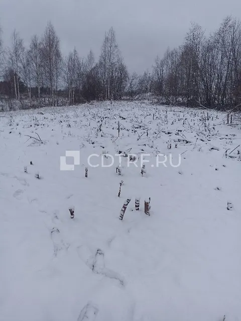 Земельный участок по адресу Республика Коми, г. Сыктывкар, урочище "Ручек-ты"