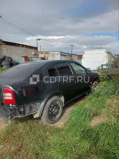 Легковой автомобиль, марки Skoda Octavia, 2009 г.в., г/н: P624KA716, Должник Барабанов А.С