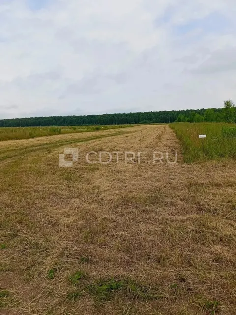 Повторные торги Сапигуллаевой С. М., зем. уч. Московская область, д. Аргуново, 700 кв.м.