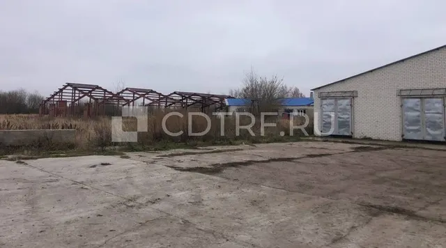 Здание - коровник №1 на 200 голов КРС с доильным залом, 1381,8 кв.м., Брянская обл. Лот №6