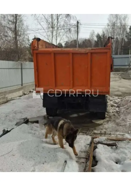 Имущество Заяца Е. В.,тс КАМАЗ 6520, самосвал, 2012 г.в. VIN: XTC6520001256918