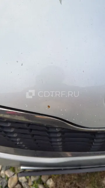 Транспортное средство модель: KIA RIO; VIN: Z94CC4IBBER164365.