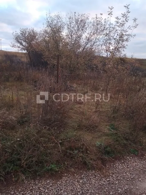 Земельный участок, площадь 1000+/-22 кв.м., кадастровый номер: 02:44:181301:11642