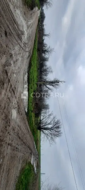 имущество должника Мустаевой Нарине Надыровны Лот №1