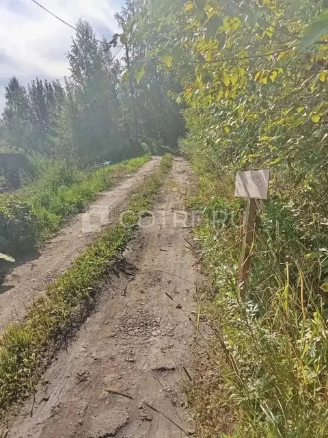 Земельный участок. Горно-Алтайск, снт Березовая роща, з/у 137