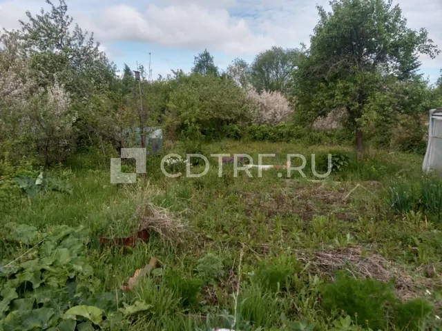 Торги должника Плаксиной С.А.: Земельный участок, кадастровый номер: 74:41:0202004:288