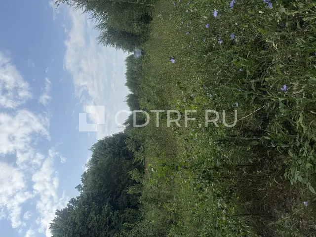 Исянчурина Алия Нурулловна лот № 1